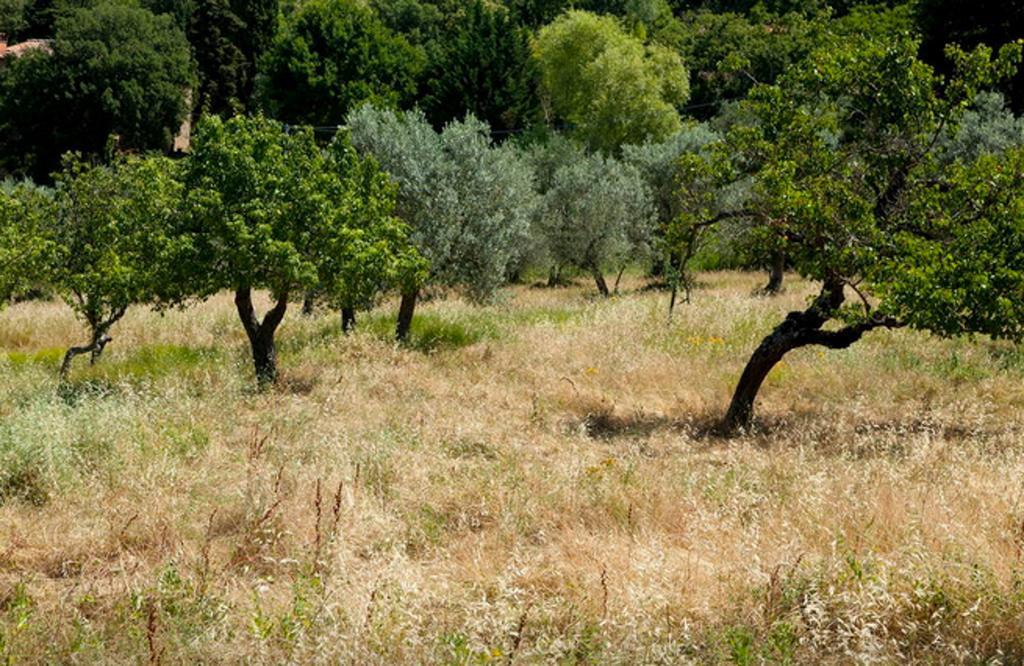 Fattoria La Tavernuzza Grassina Zimmer foto