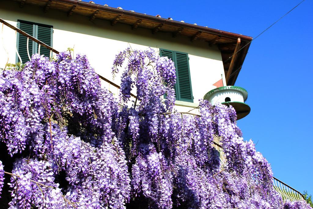 Fattoria La Tavernuzza Grassina Exterior foto