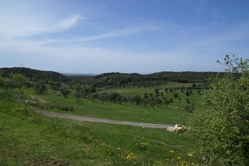 Fattoria La Tavernuzza Grassina Exterior foto